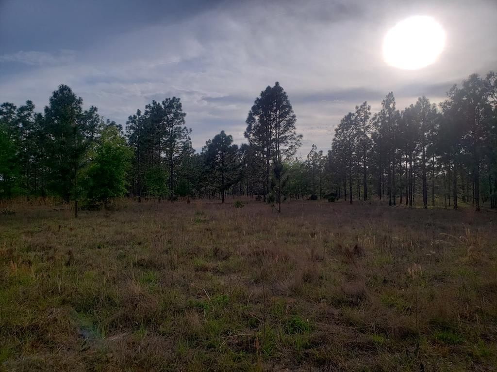 150 Acres, 0 Metts Overstreet Rd, Baxley, GA 31513 Land and Farm