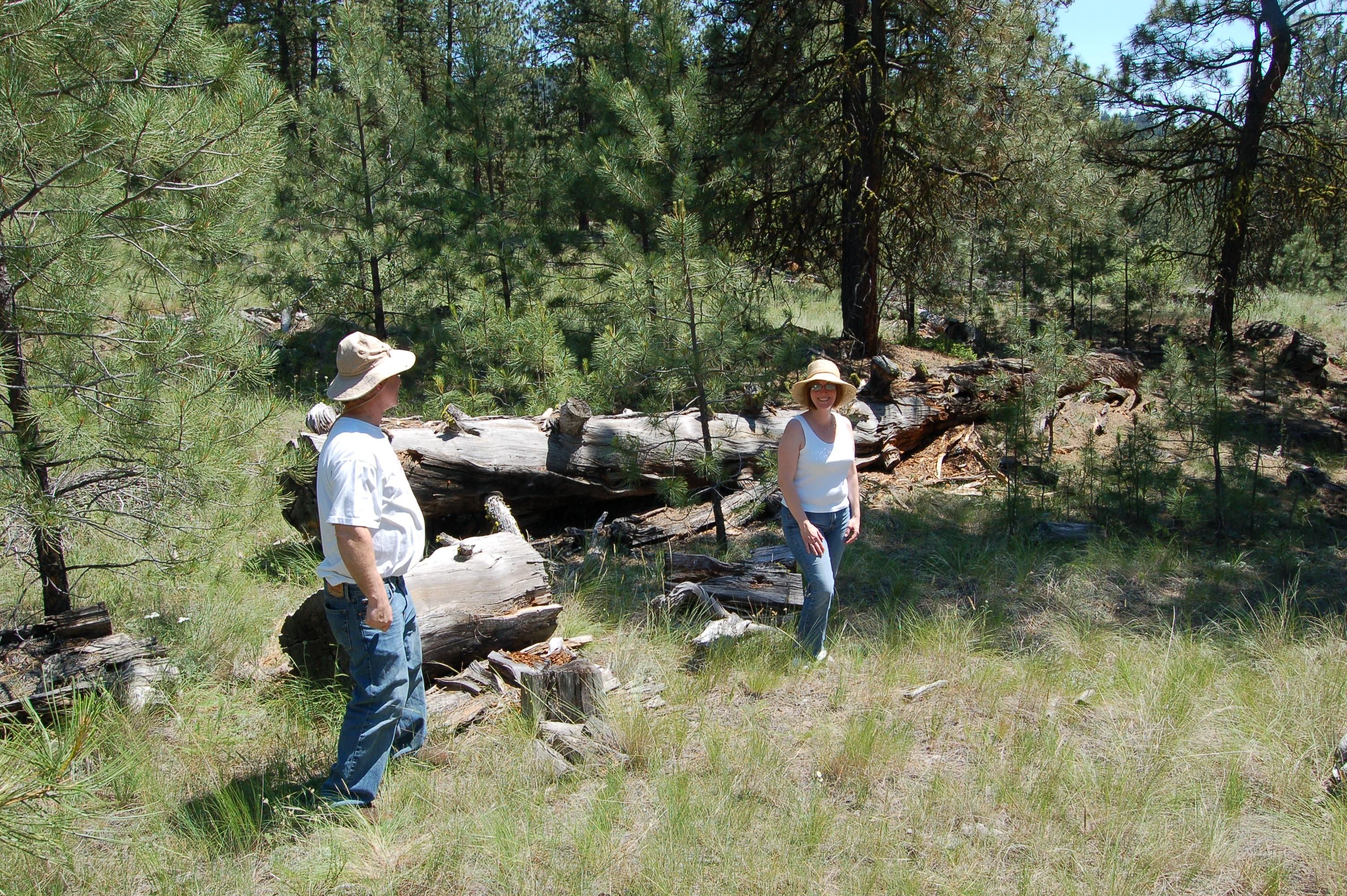 2.68 Acres, Tonasket, WA 98855 Land and Farm