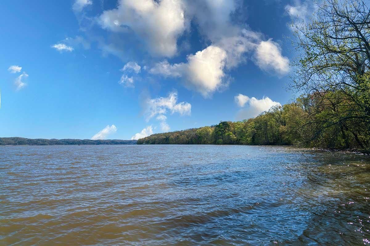 Riverton Rose Trail, Cherokee, AL 35616 Land and Farm