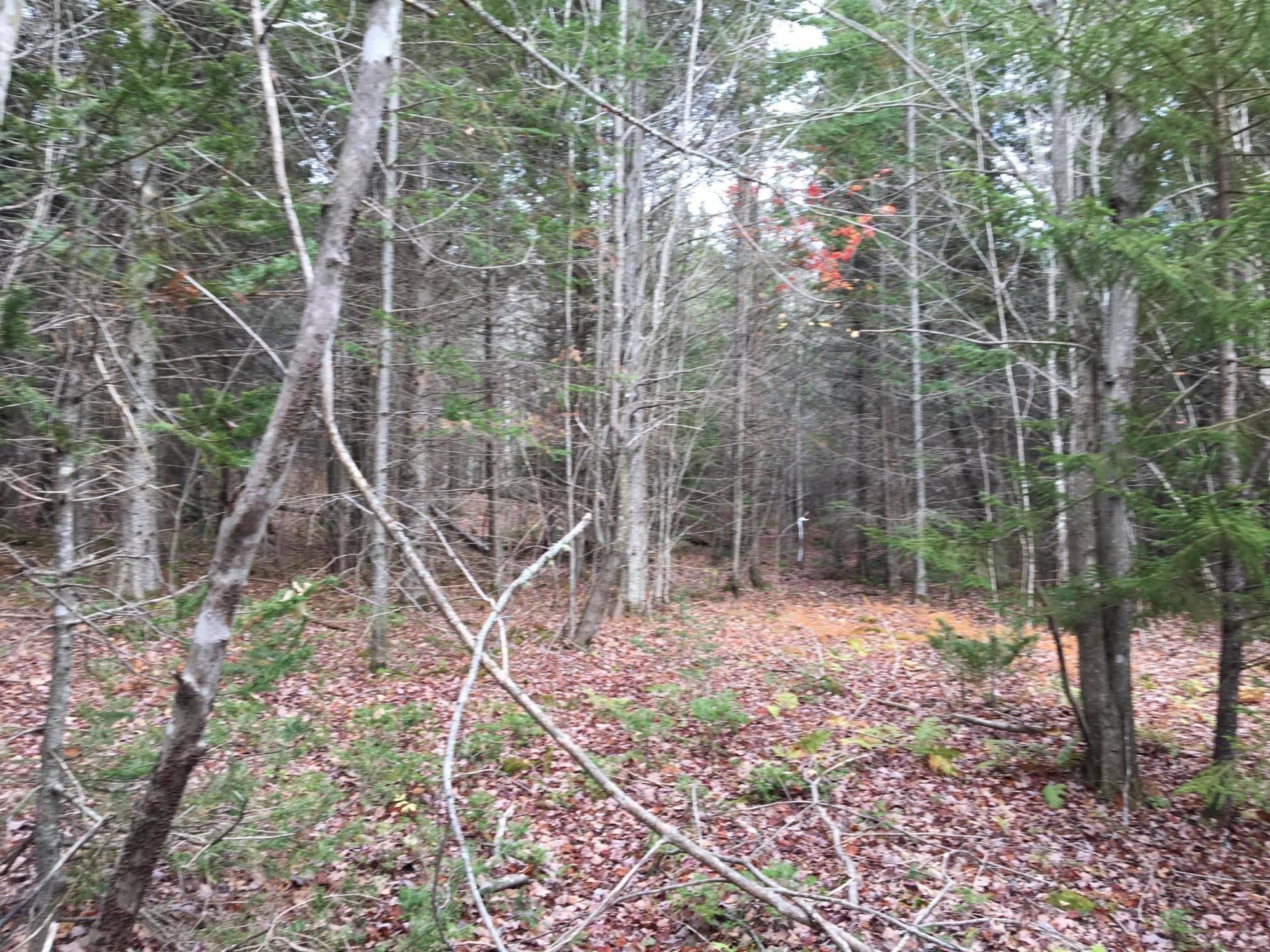 Lot 12 West Pine Way, Greenville, ME 04441 Land and Farm