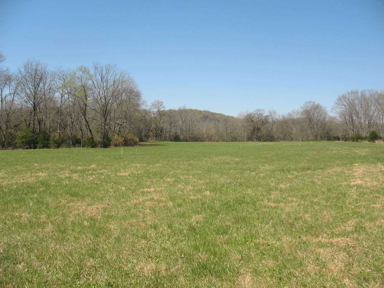 145.09 Acres, 9084 John Bragg Highway, Readyville, TN 37149 Land and Farm