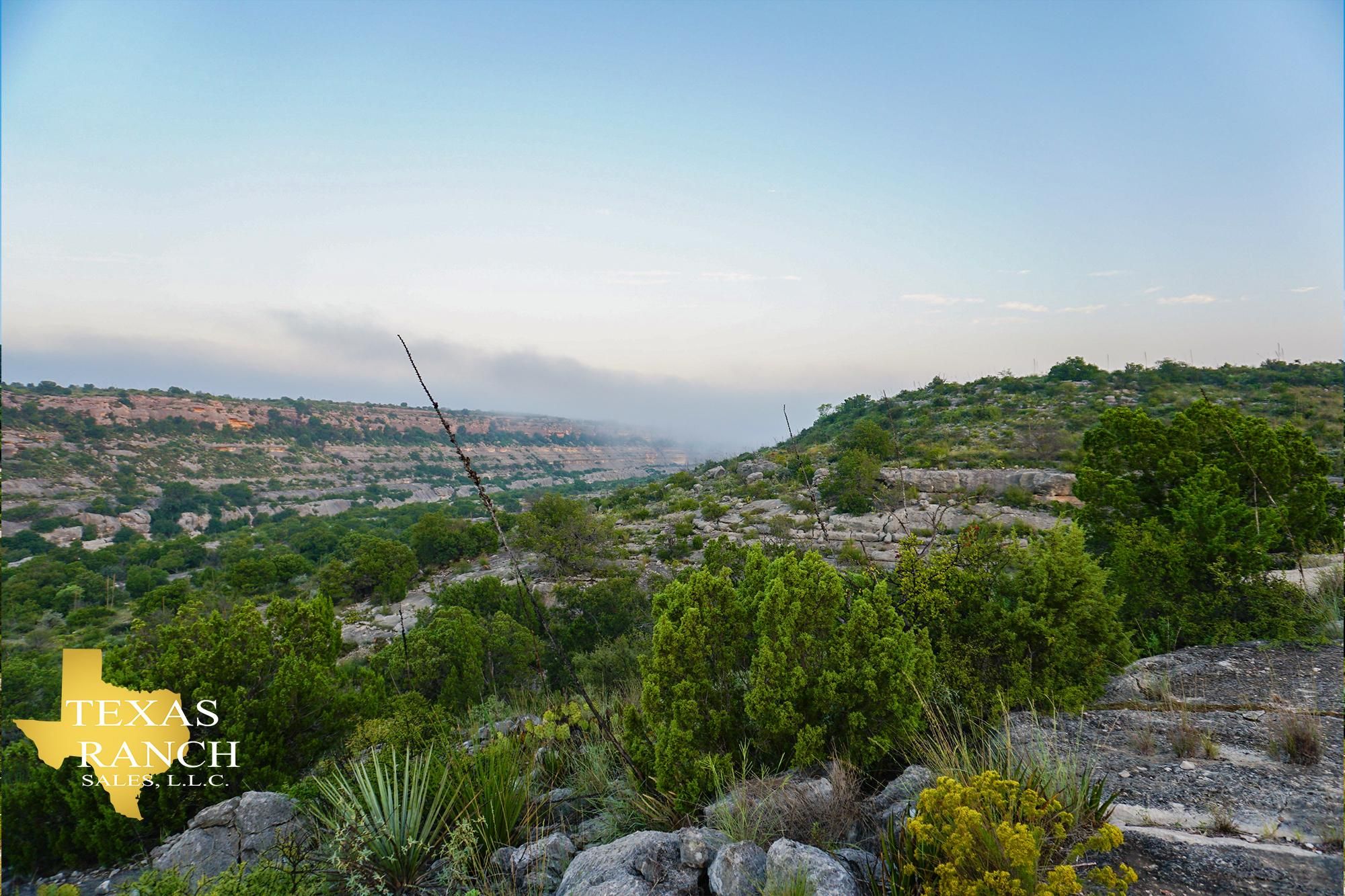 664 Acres, Dryden, TX 78851 Land and Farm