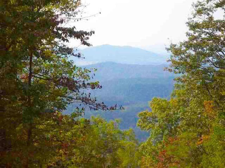 8.77 Acres, Fire Tower Rd, Mooresburg, TN 37811 Land and Farm