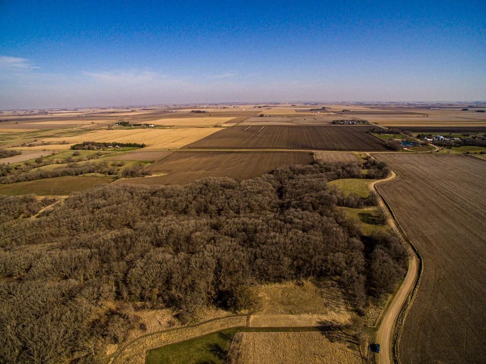 30 Acres, TBD 88th Ave., Linn Grove, IA 51033 Land and Farm