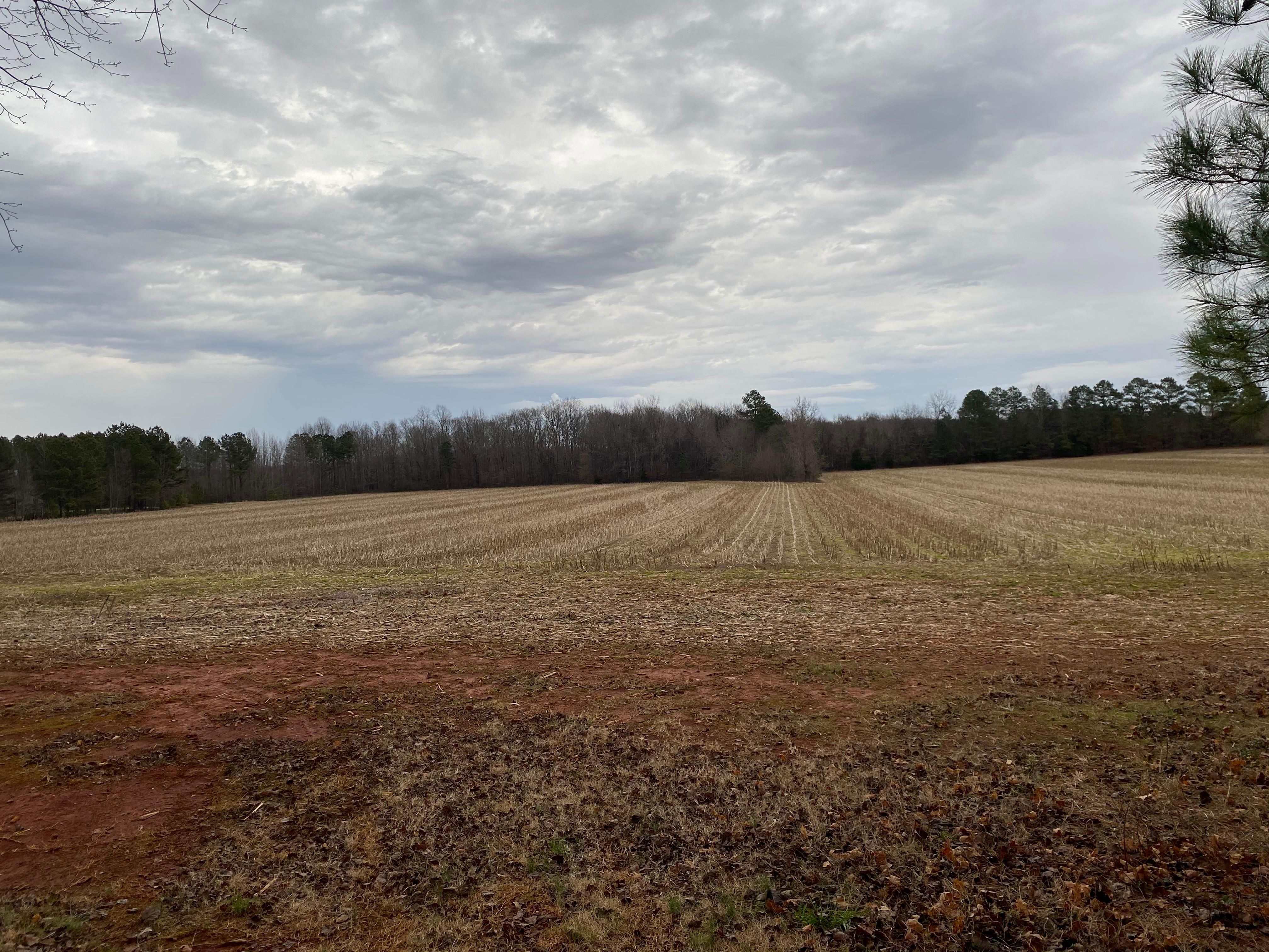 12 Acres, 17684 East Limestone Road, Athens, AL 35613 Land and Farm
