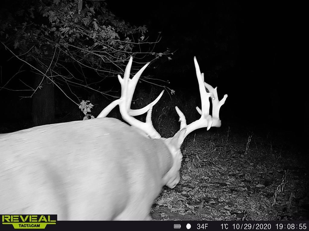 495 Acres, 00 Mississippi River Island, Carman, IL 61425 Land and Farm