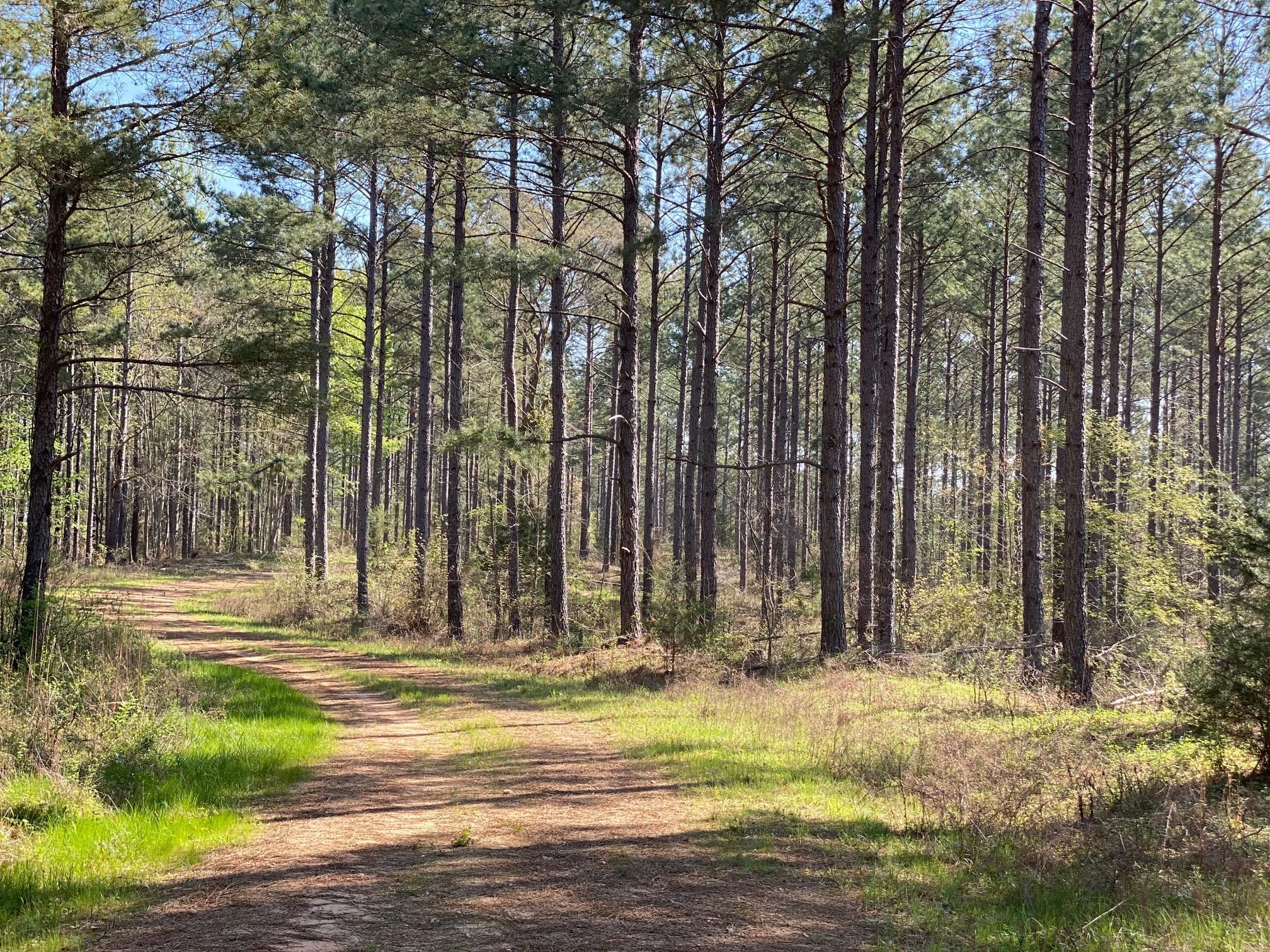 422 Acres, Winnsboro, SC 29180 Land and Farm