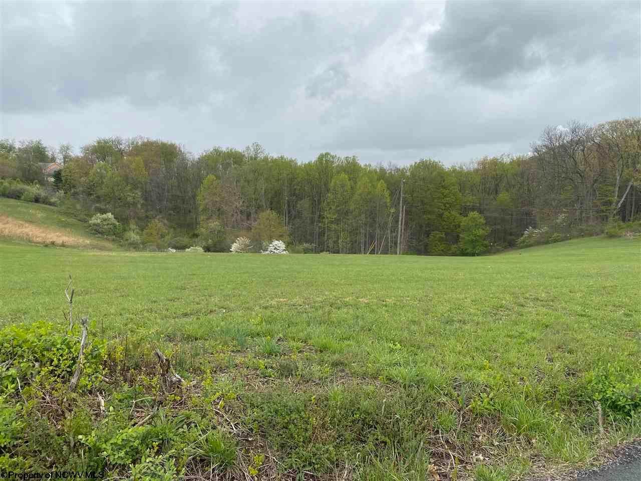 1.75 Acres, 00 Bakers Ridge Road, WV 26508 Land and Farm