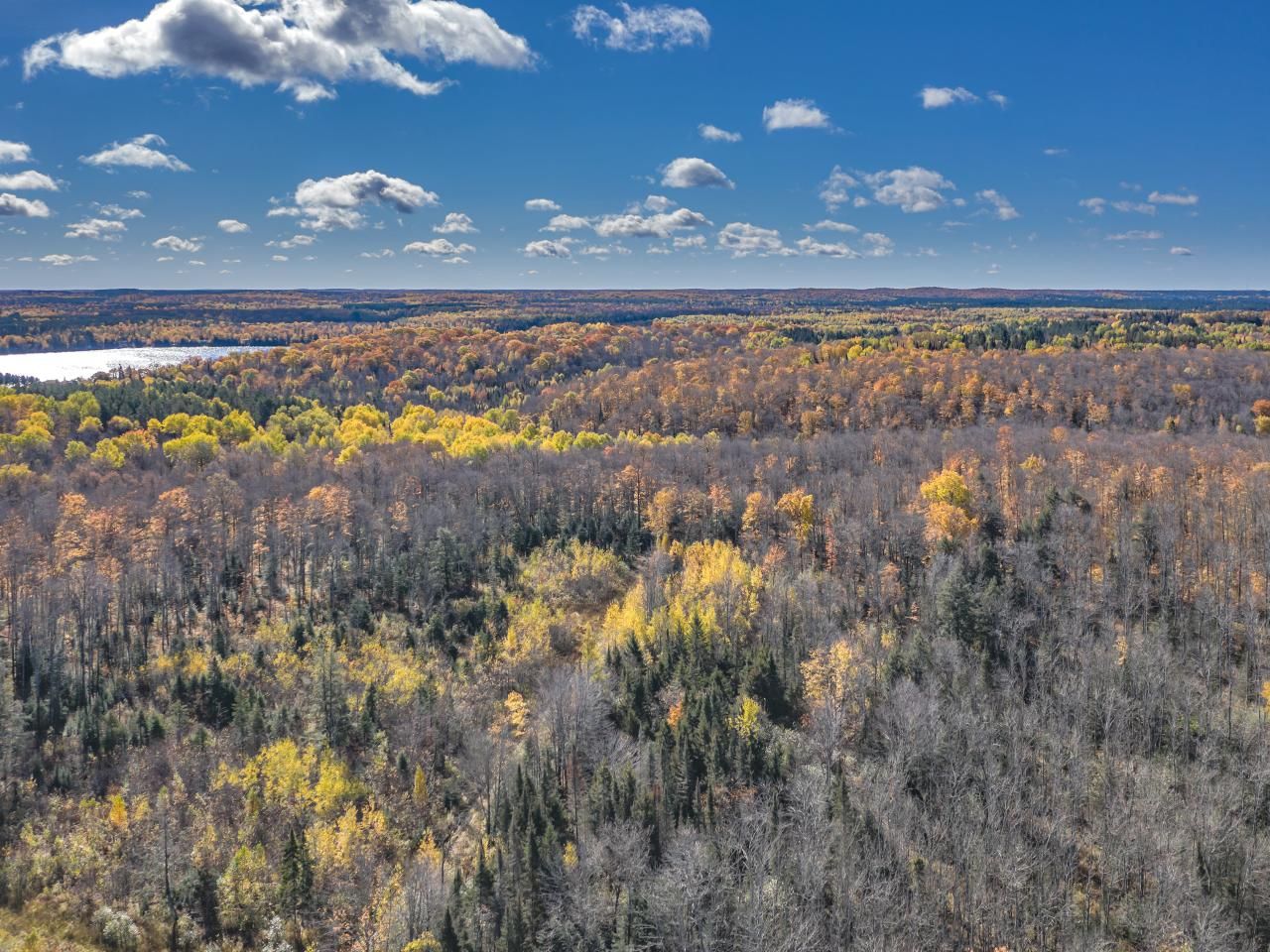 32.35 Acres, 181490 HAWK SOUP LN, Phelps, WI 54554 Land and Farm