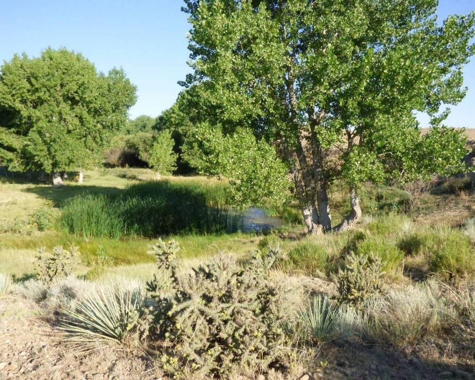 53 Acres, Boone, CO 81025 Land and Farm