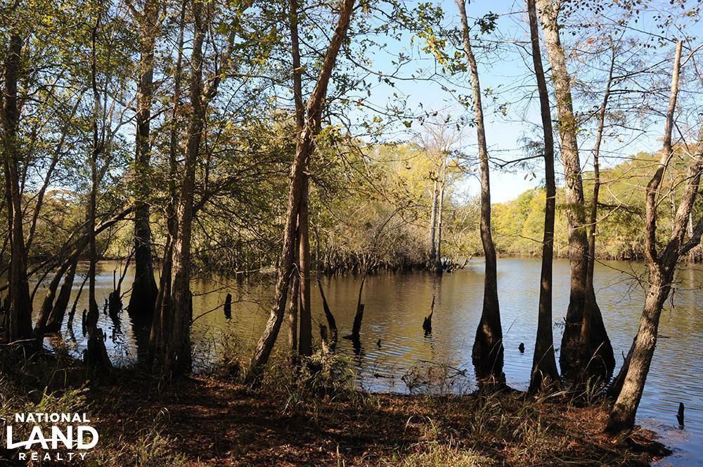 317 Acres, 42034293 County Line Rd., Andrews, SC 29510 Land and Farm