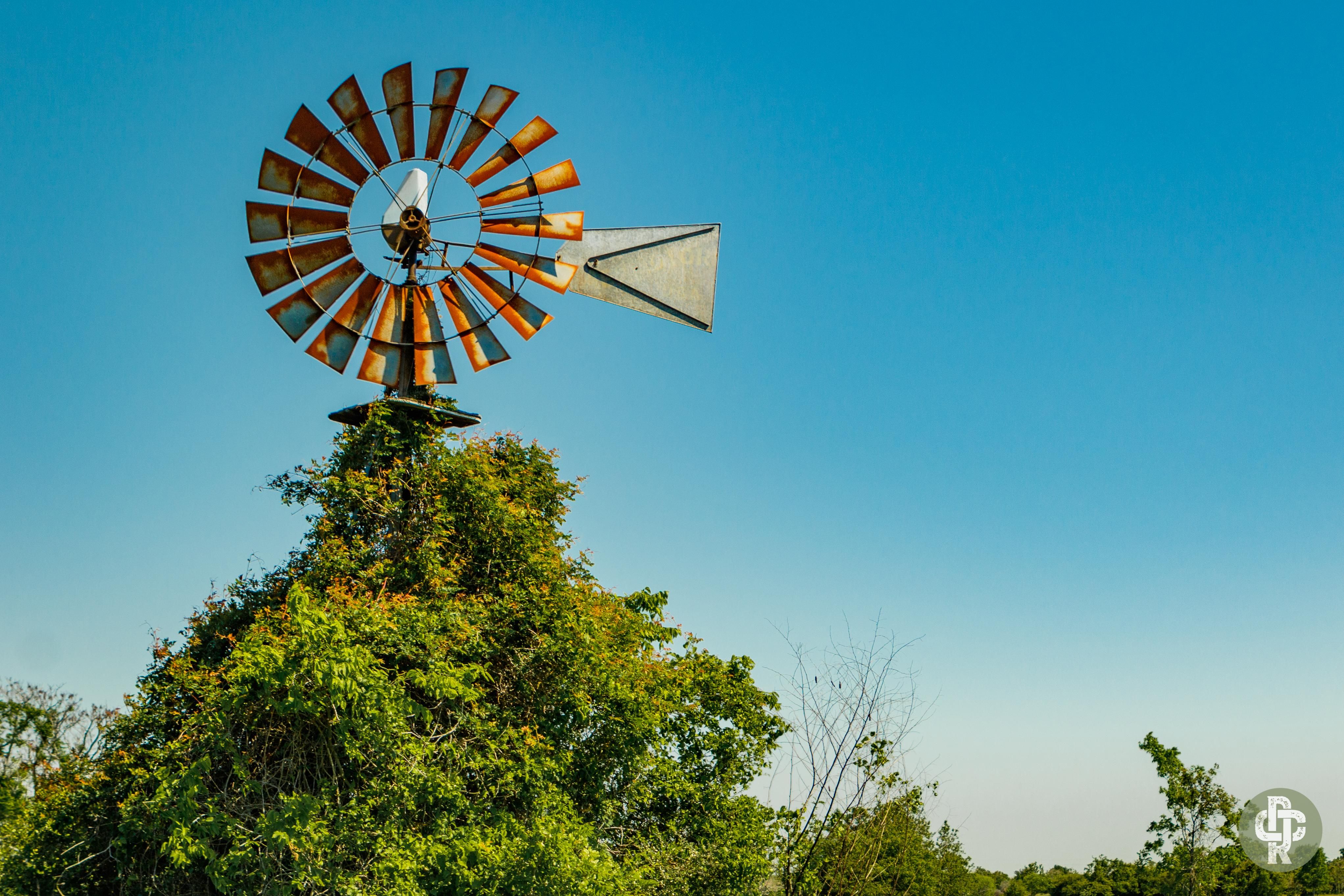 TBD Hwy 36, Wallis, TX 77485 Land and Farm