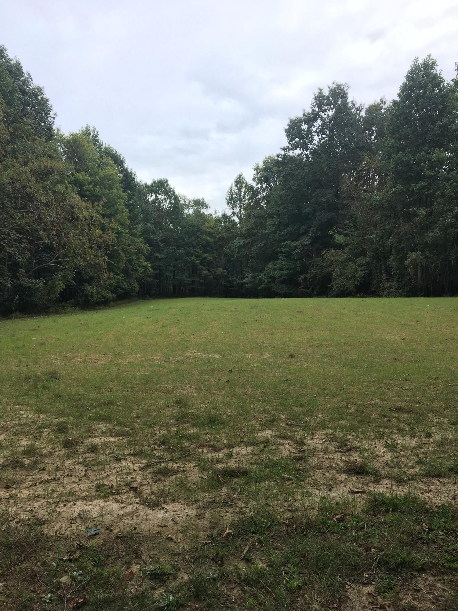 323 Acres, Stevenson, AL 35772 Land and Farm