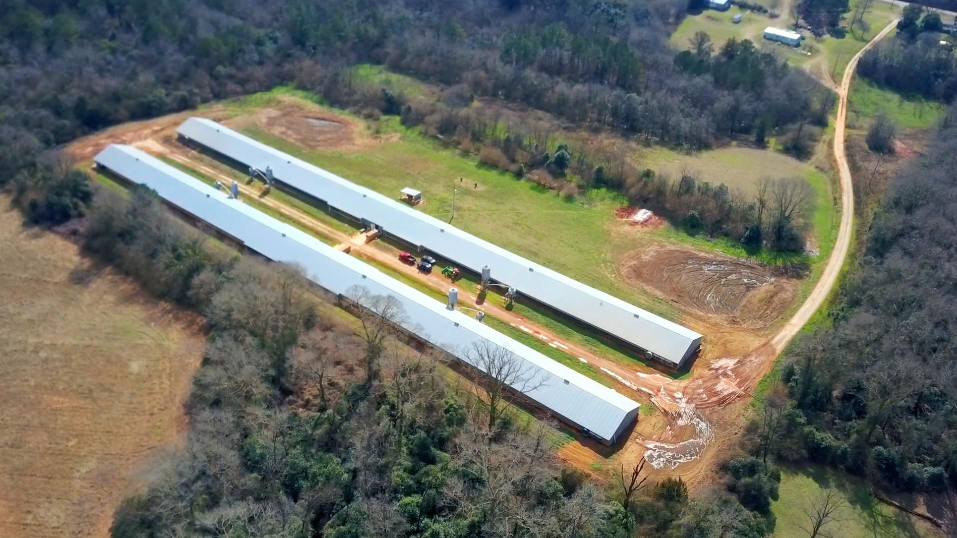 22.5 acres in Americus, GA, 31719 Land and Farm