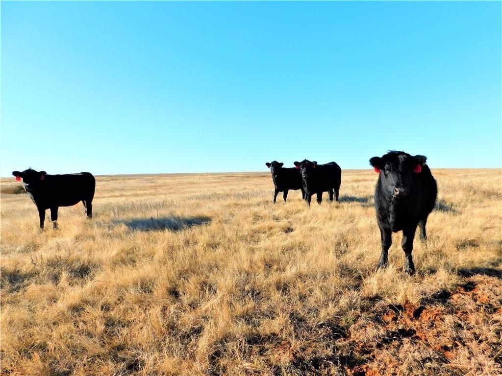 30 Acres, 0000 W DOUGLAS Street, Mulhall, OK 73063 Land and Farm