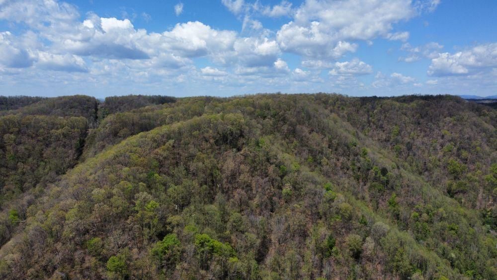 Rt. 16/2 Parsons Drive, Mullens, WV 25882 MLS BEARWALLOW RIDGE