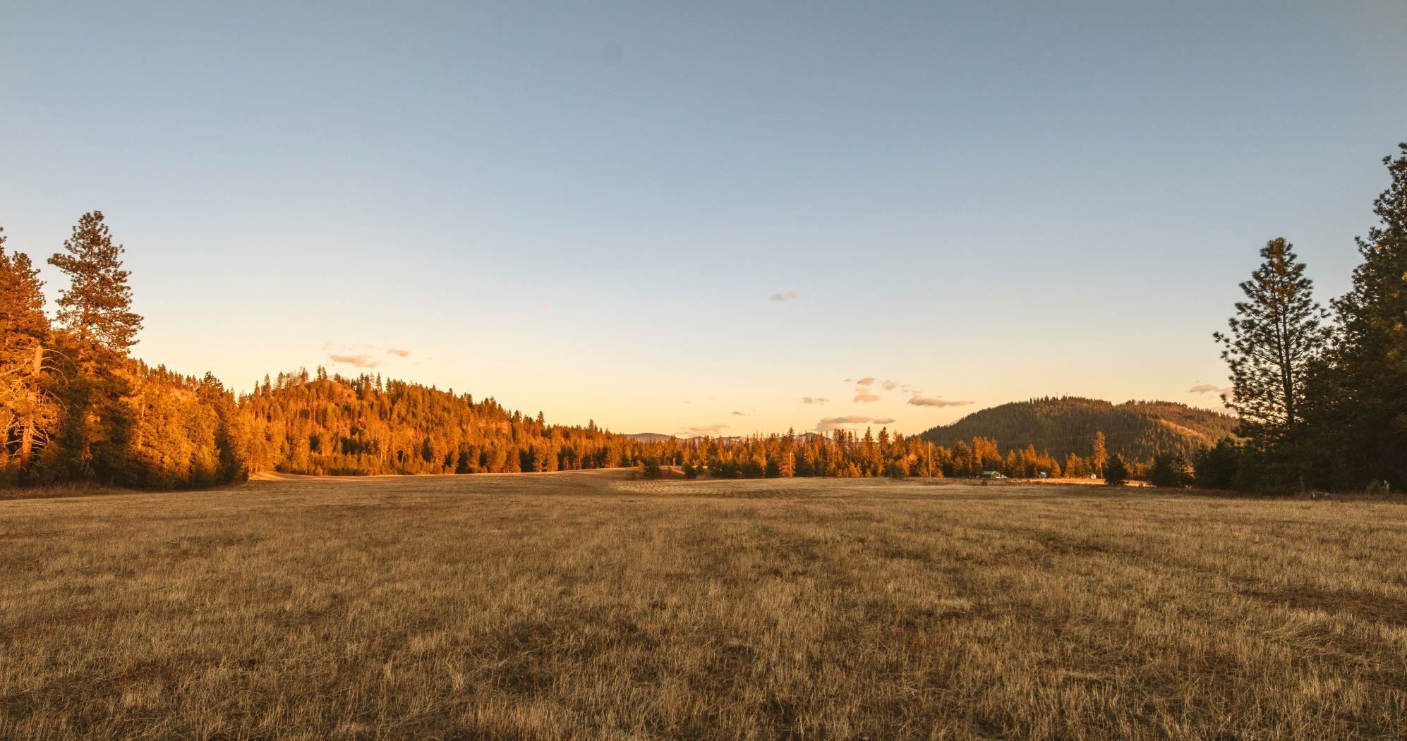 20 Acres, Bead Lake, Newport, WA 99156 Land and Farm