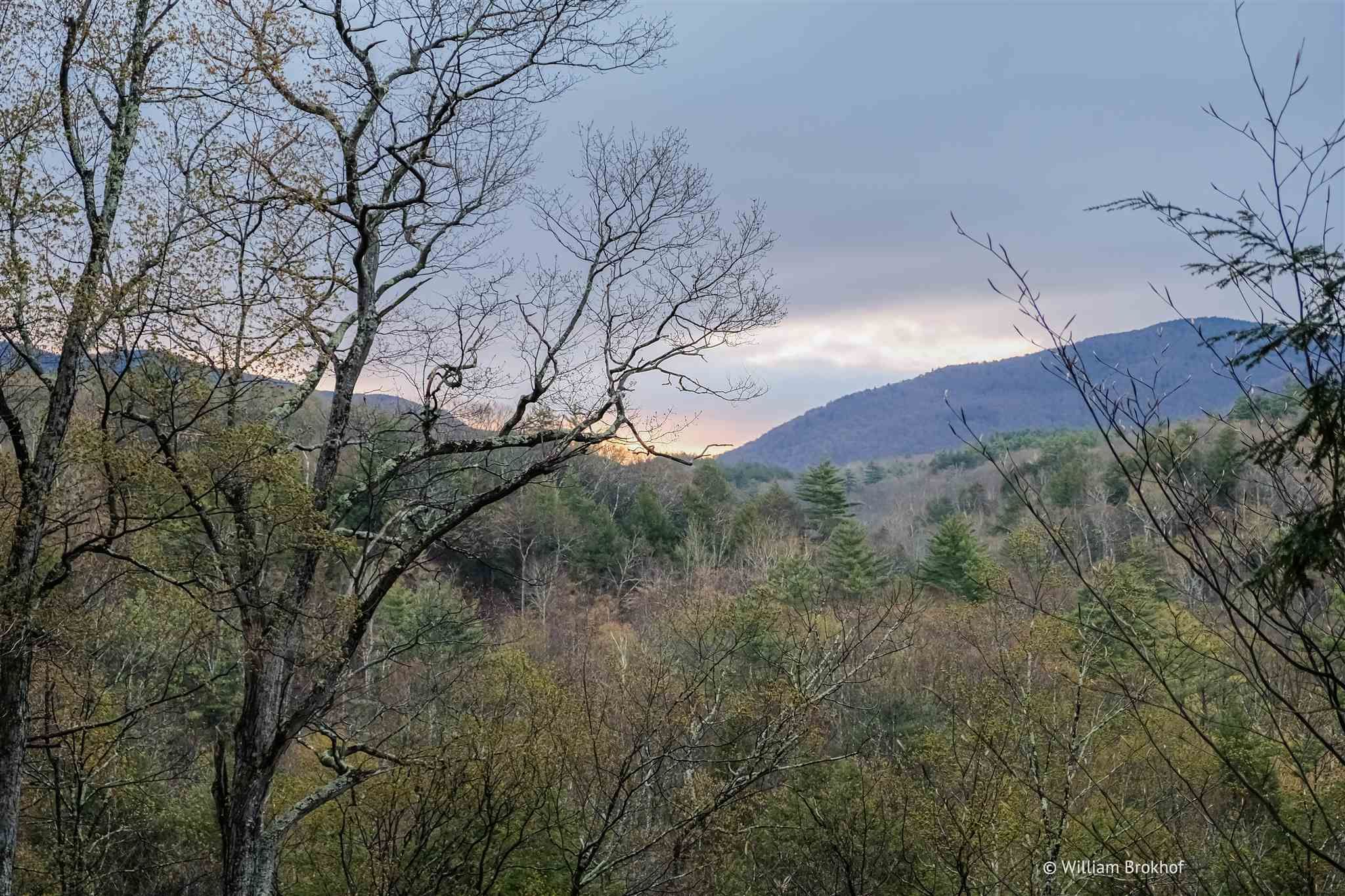 24.5 Acres, 00 Fay Road, Goshen, VT 05733 Land and Farm