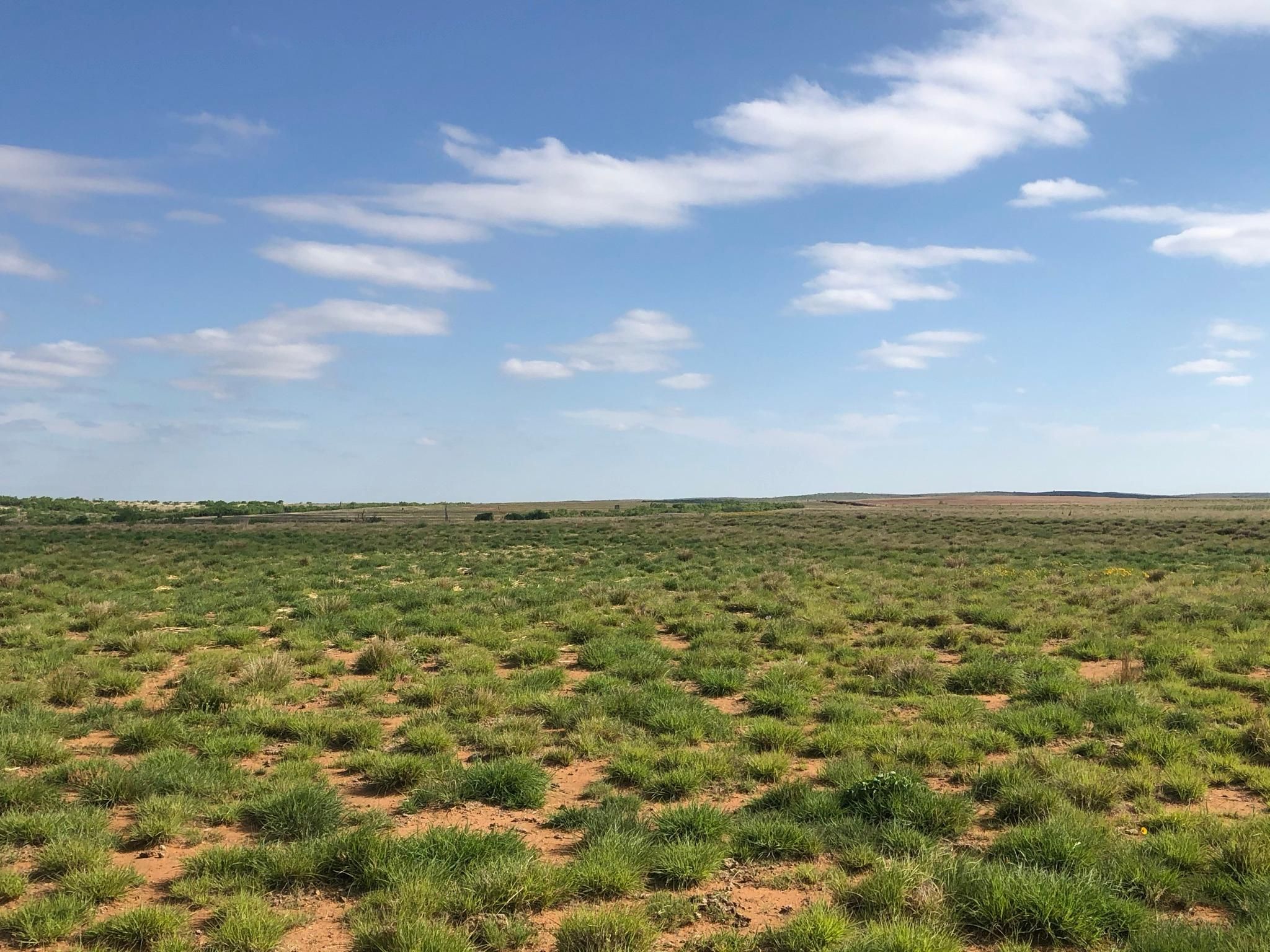 357.5 Acres, County Road 21, Estelline, TX 79233 Land and Farm