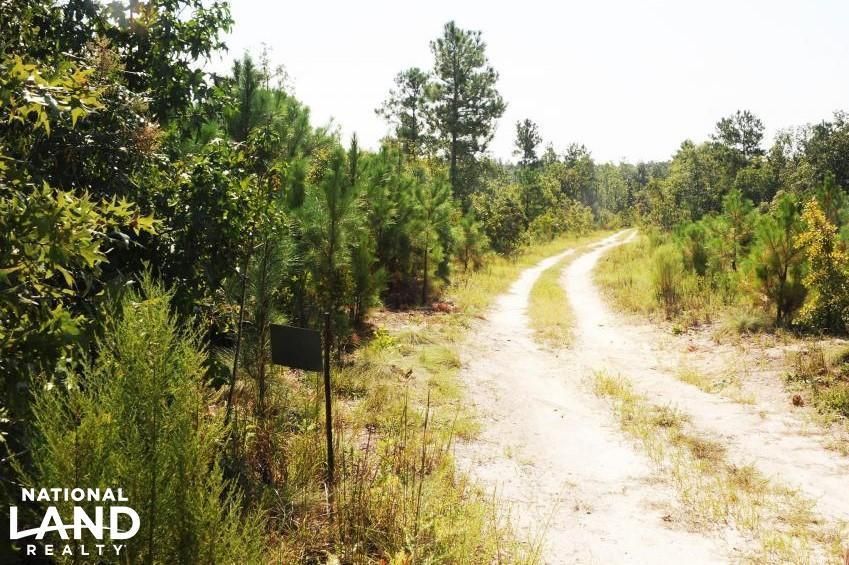 61 Acres, 5604 Woodside Road, Wallace, SC 29596 Land and Farm