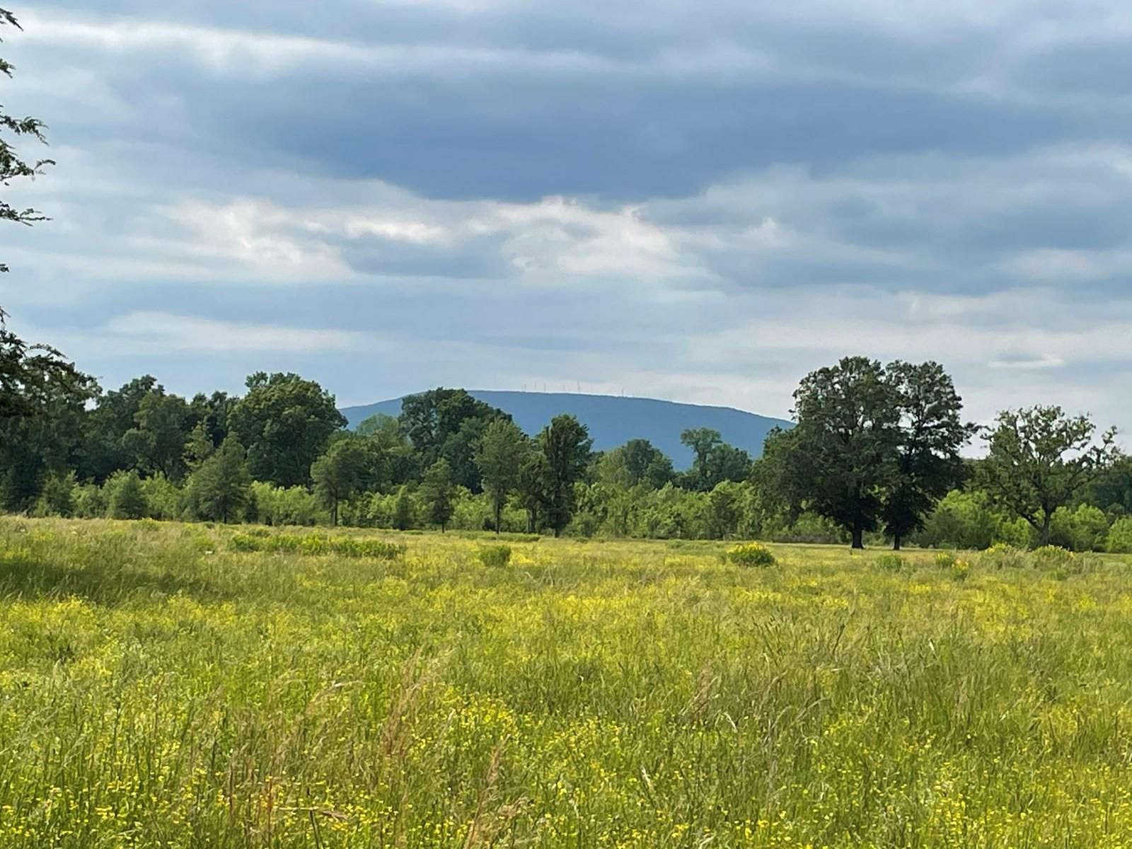 County Rd N 4750 Poteau, Poteau, OK 74953 MLS 3501827650 Land and