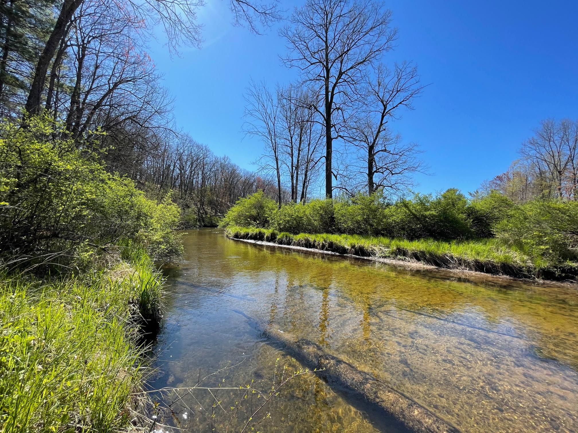 West 88th Street, Bitely, MI 49304 Land and Farm