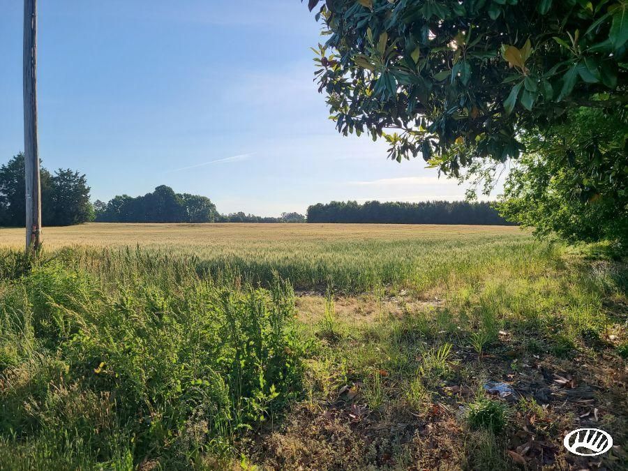 36.19 Acres, Off of Town Creek Road, Lot WP0001, Elm City, NC 27851