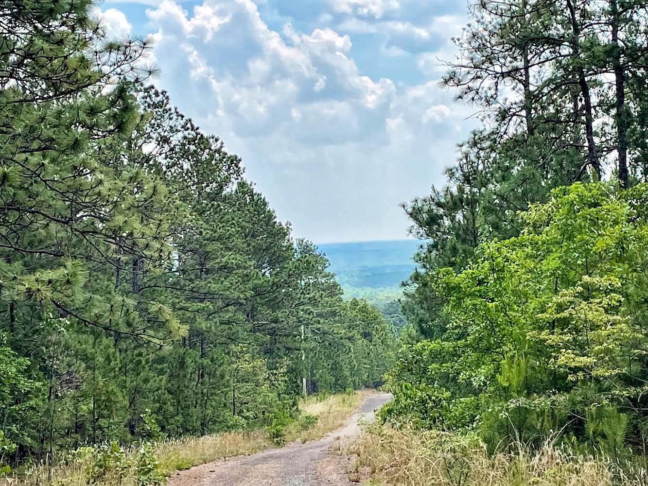 U.S. Highway 19, Meansville, GA 30256 MLS 8982492 Land and Farm