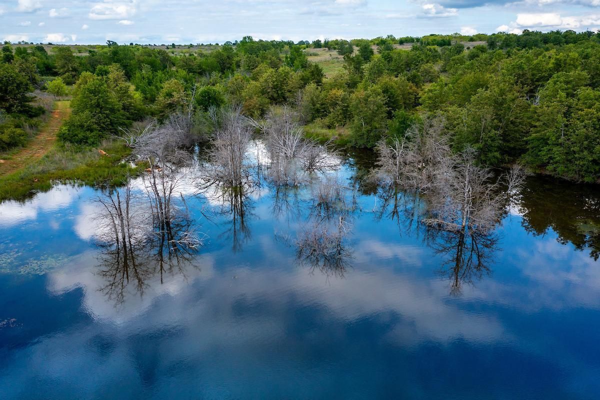 158 Acres, FM 1191, Bryson, TX 76427 Land and Farm