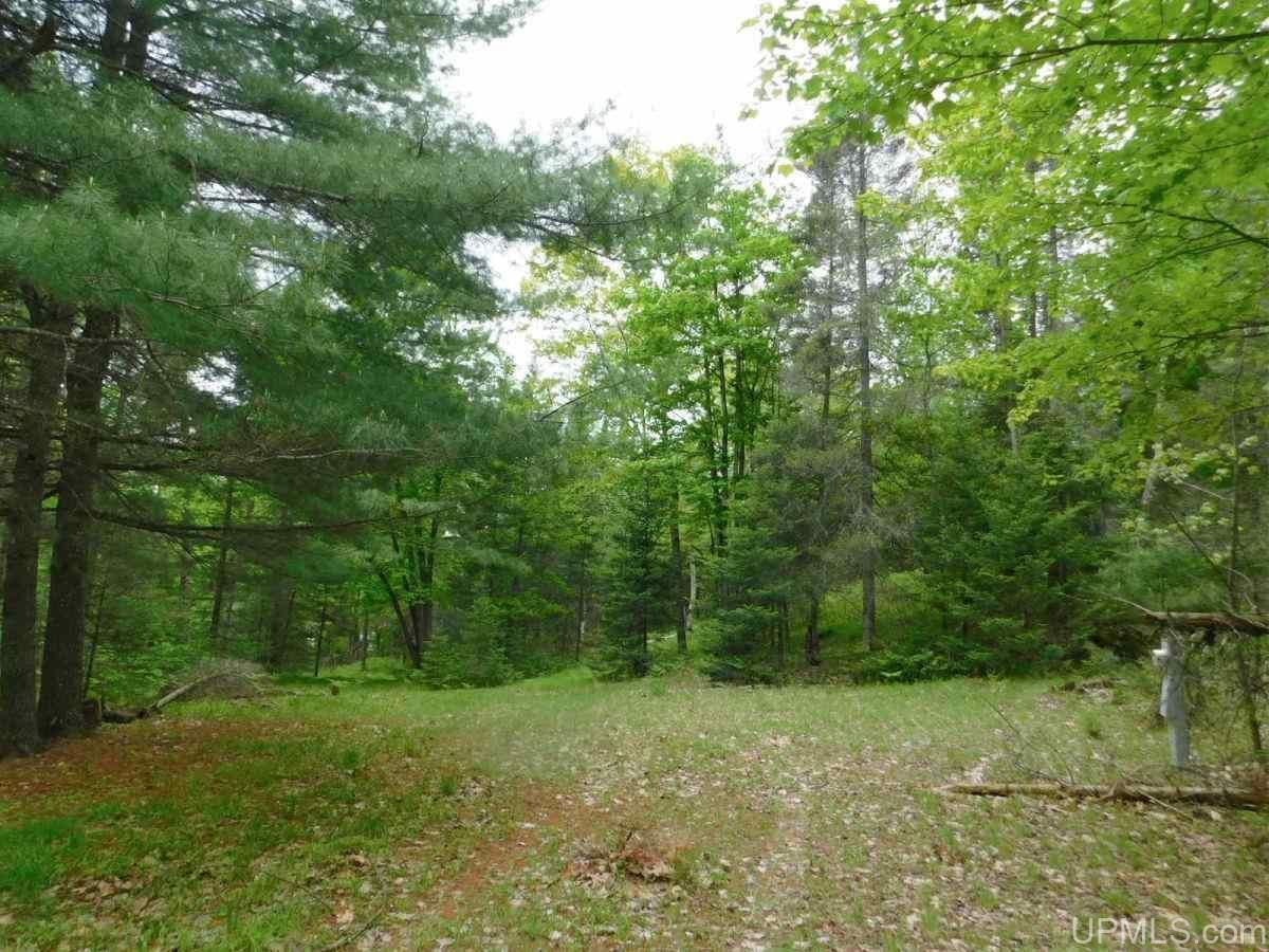 4.35 Acres, N20905 Stillwater, Niagara, WI 54151 Land and Farm