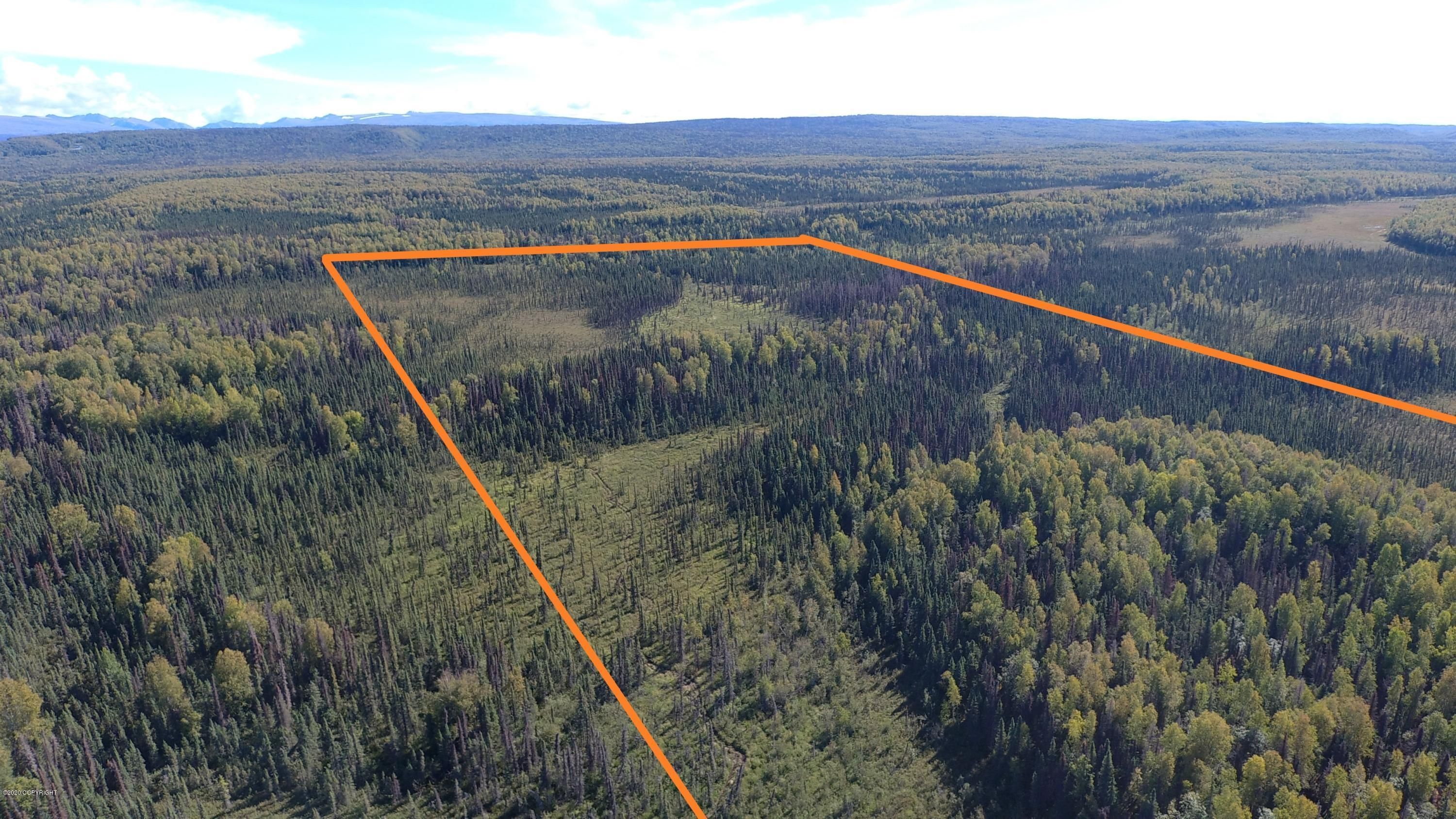 19566 Willow Fishhook Road, Wasilla, AK 99654 MLS 208310 Land and