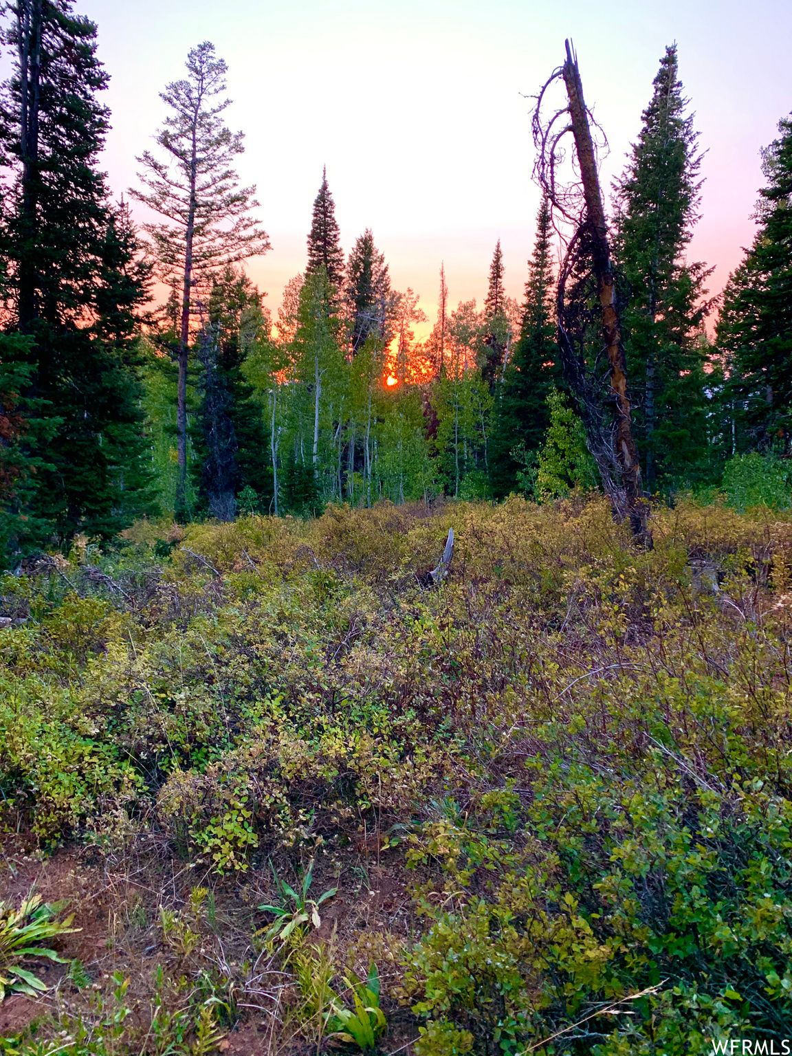 40 Acres, 2595 N HWY 192, Hyrum, UT 84319 Land and Farm