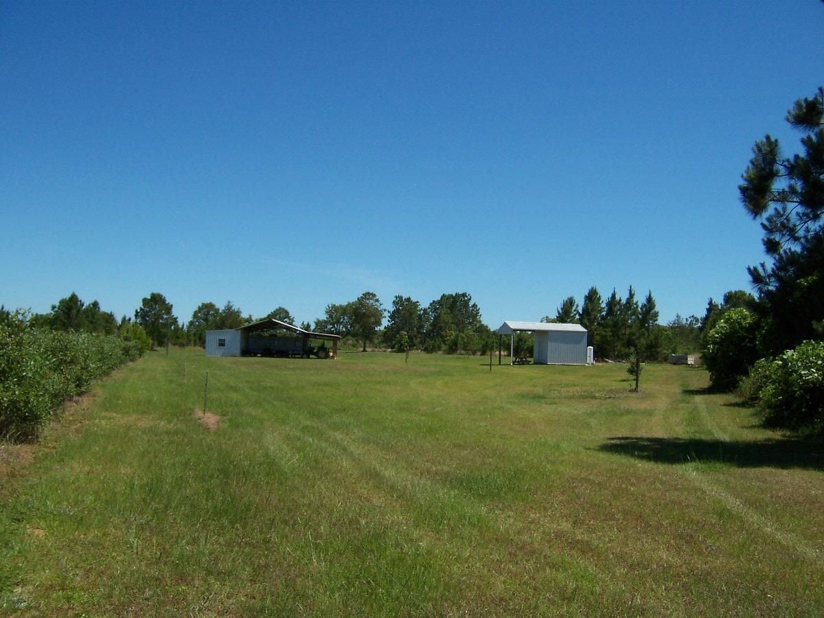 77 Acres, 6590 Co Hwy 1883, Ponce De Leon, FL 32455 Land and Farm