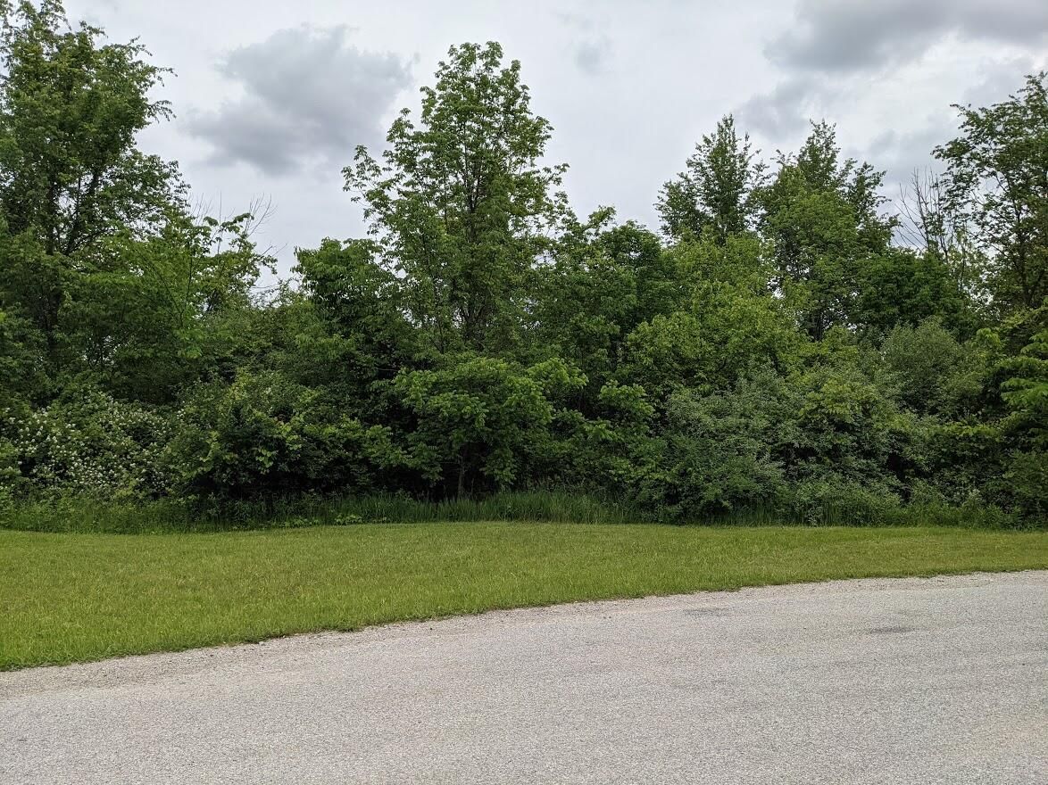 1.9 Acres, 0 Willow Heights Drive, Urbana, OH 43078 Land and Farm