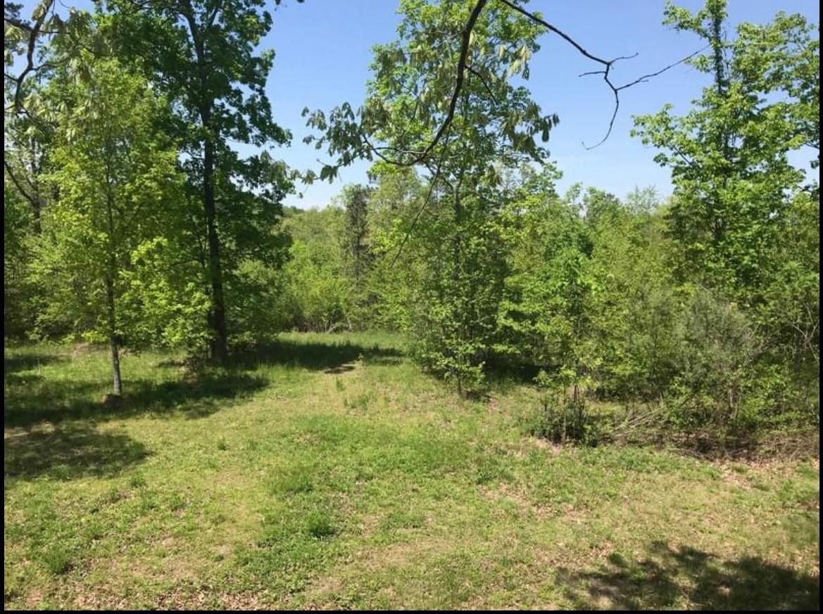787 Wilson Mountain Road, Falkville, AL 35622 MLS 1782468 Land and