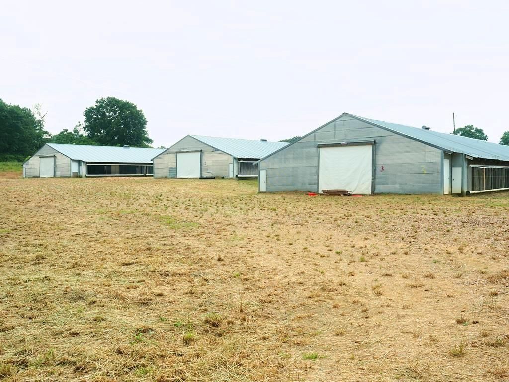 212 Brantley Road, Forest, MS 39074 Land and Farm