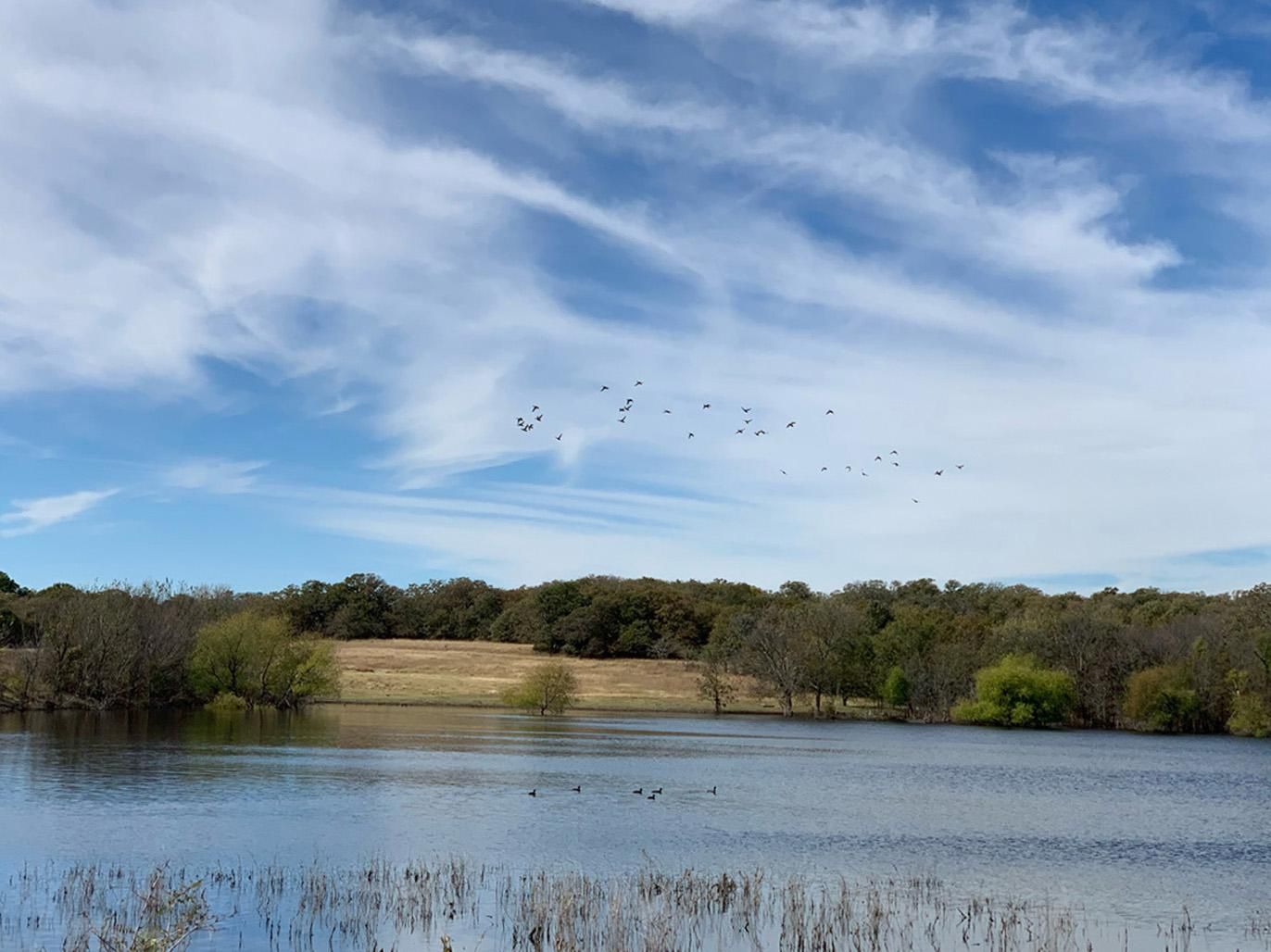 230 Acres, Velma, OK 73491 Land and Farm