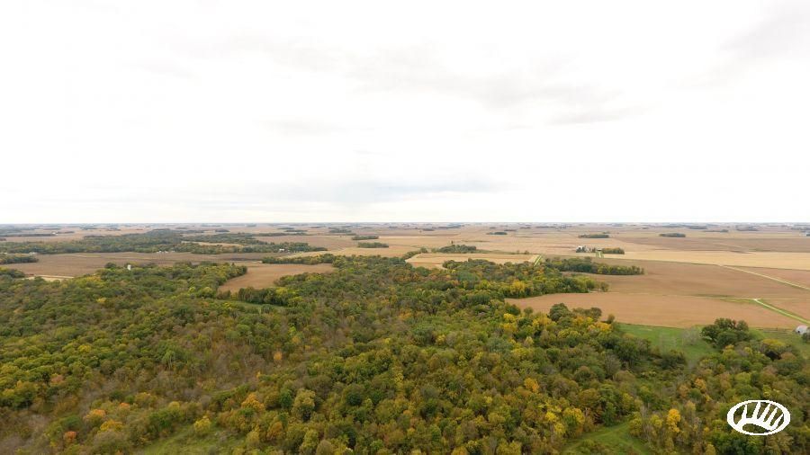245.42 Acres, 494th Lane, Cambria, MN 56055 Land and Farm