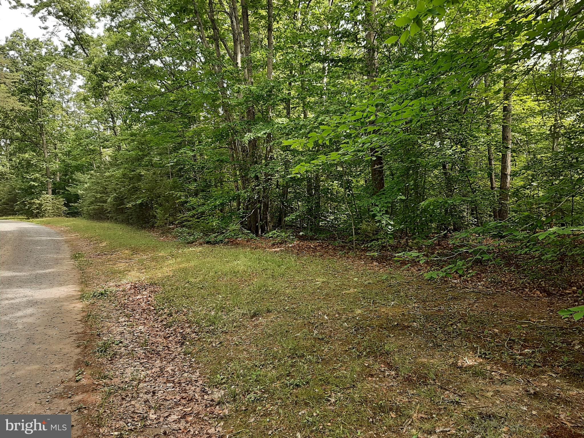 42.39 Acres, 0 Rogers Ford, Sumerduck, VA 22742 Land and Farm