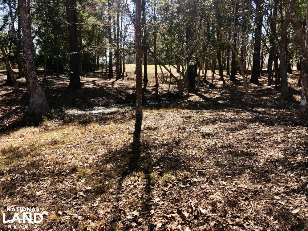 0.4 Acres, 0 Clubhouse ln, Lockwood, NC 28462 Land and Farm