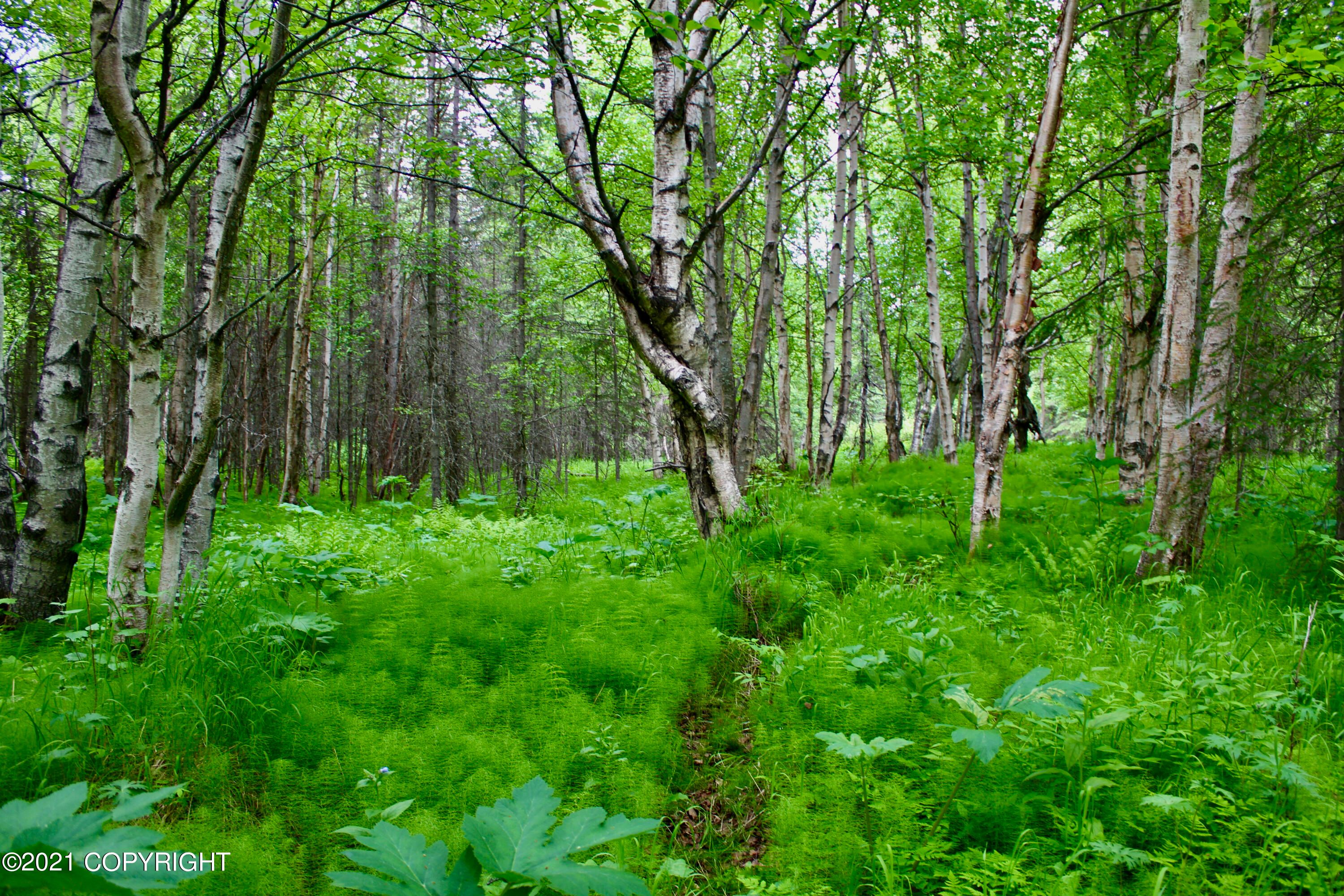 10 Acres, 12524 N Honeycutt Street, Sutton, AK 99674 Land and Farm