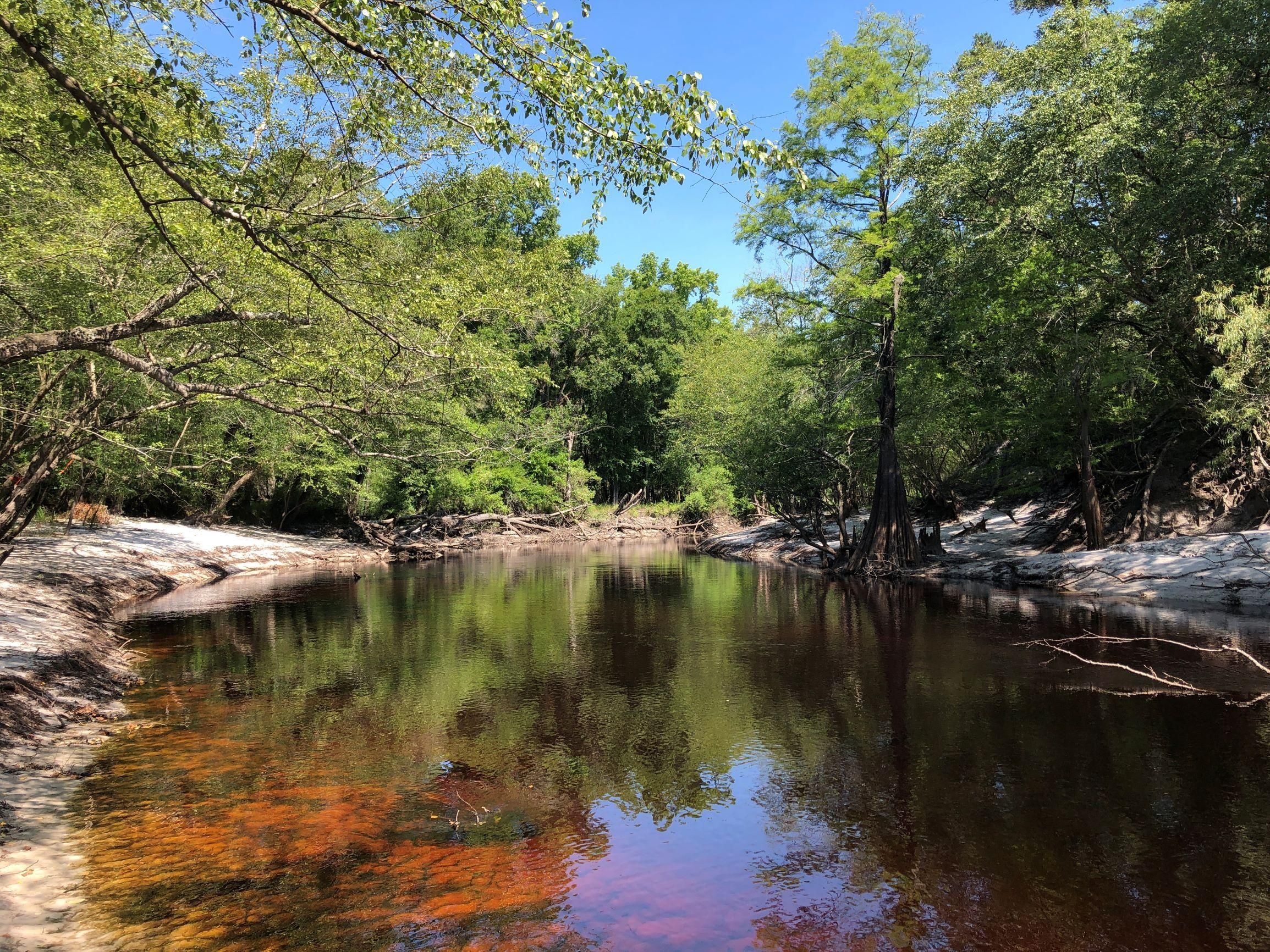 0 Emmaus Church Road, Saint GA 31562 Land and Farm