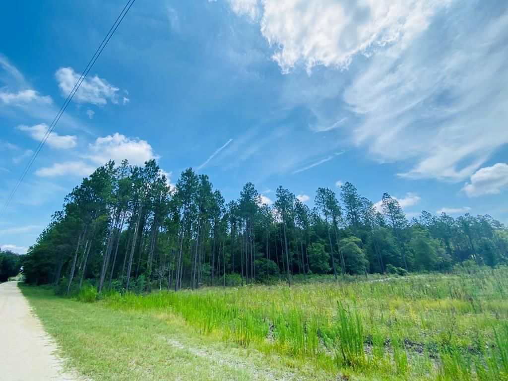 55.46 Acres, 0000 35th Ave, Trenton, FL 32693 Land and Farm