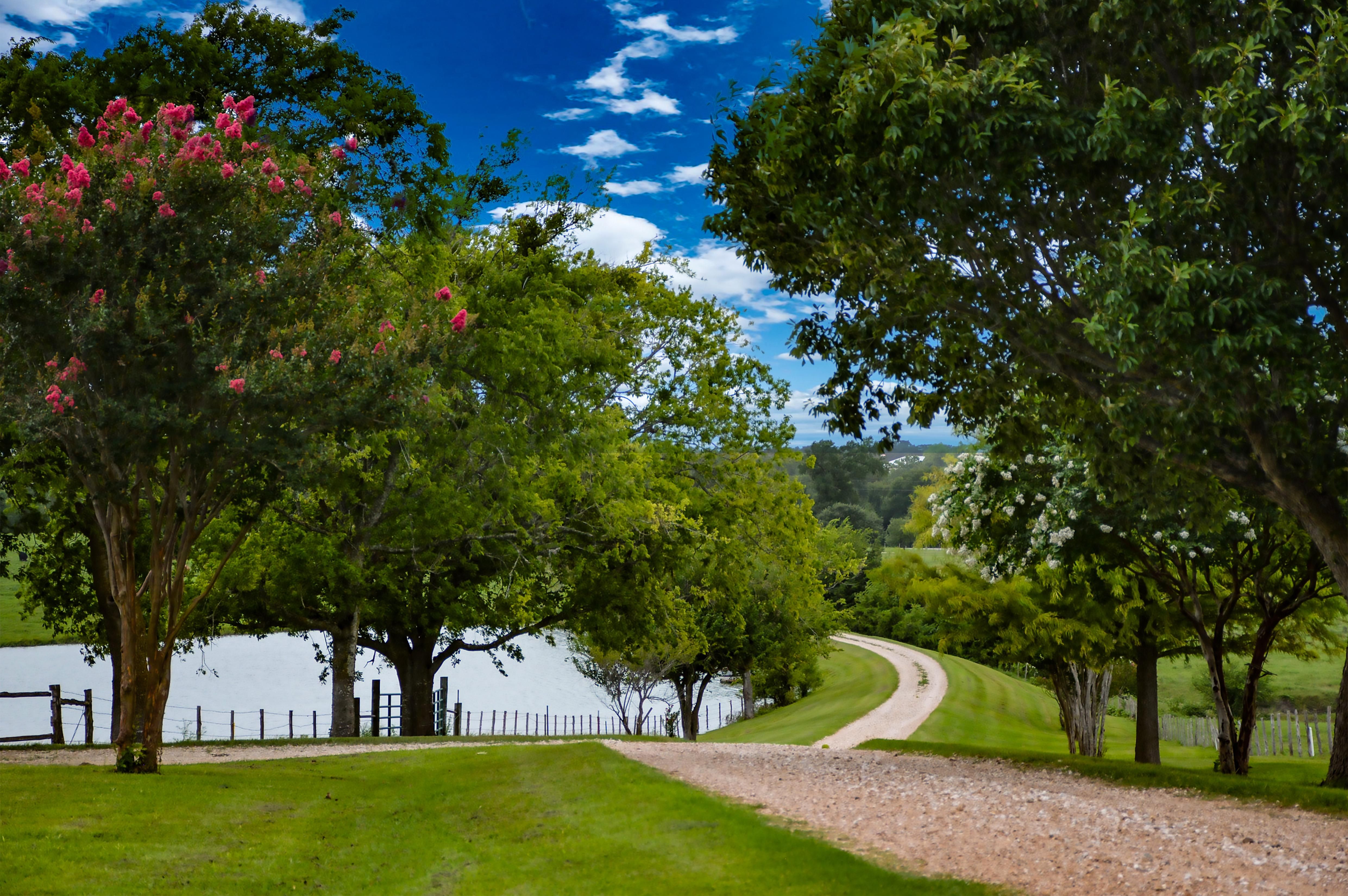 7439 Texas 90, Navasota, TX 77868 Land and Farm