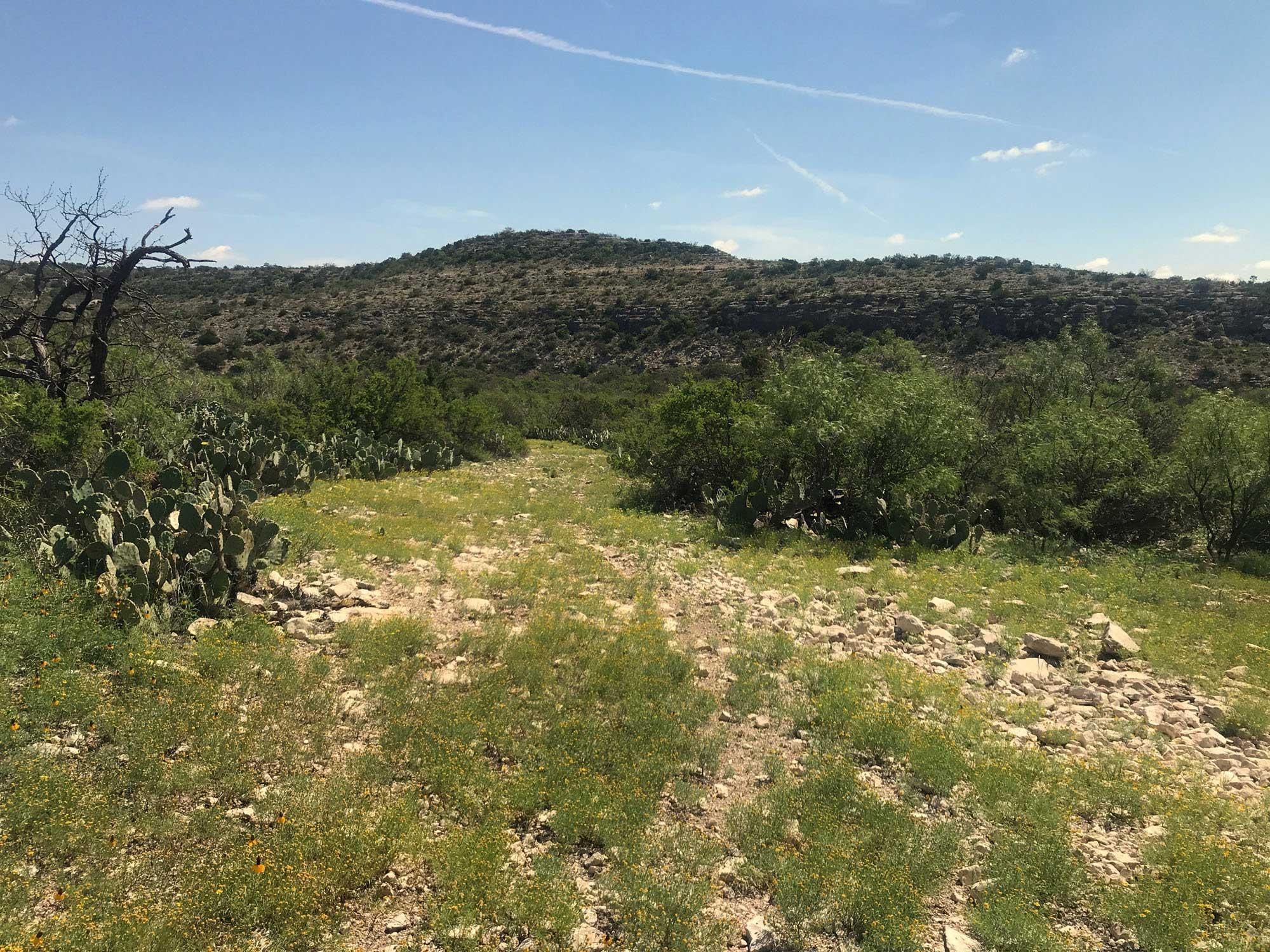 2,936 acres in Dryden, TX, 78851 Land and Farm