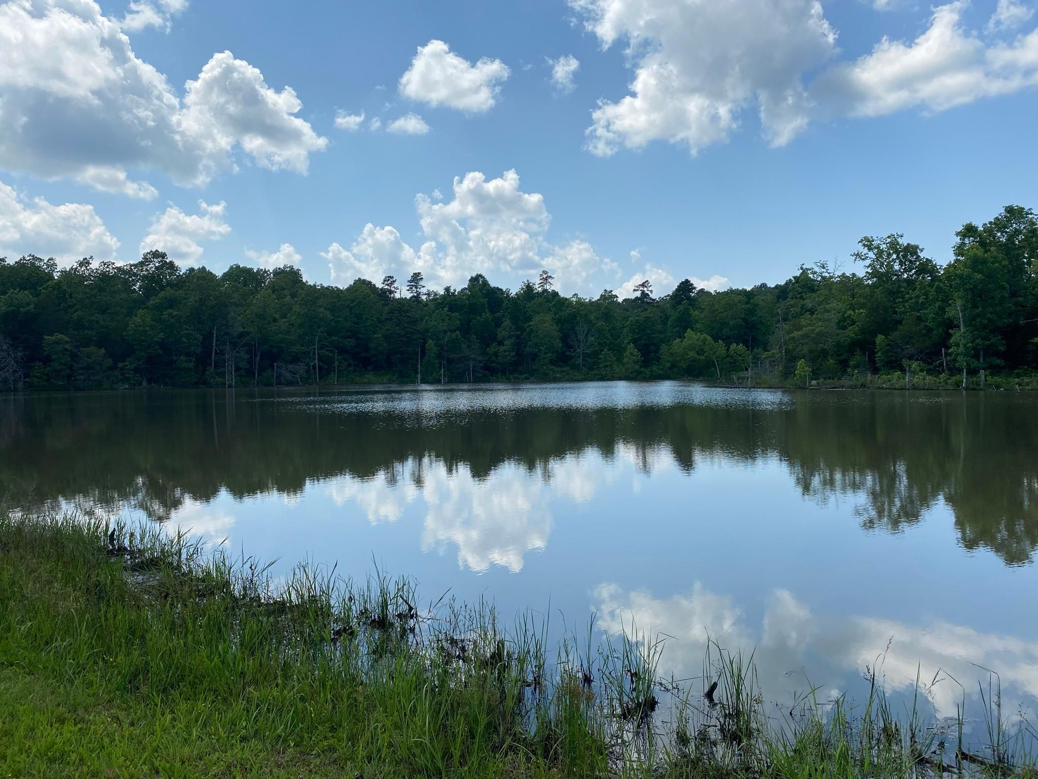 766 acres in Dolph, AR, 72528 MLS 21035447 Land and Farm