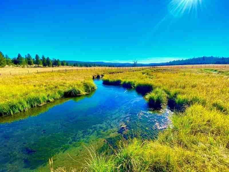 278 Acres, Prairie City, OR 97869 Land and Farm