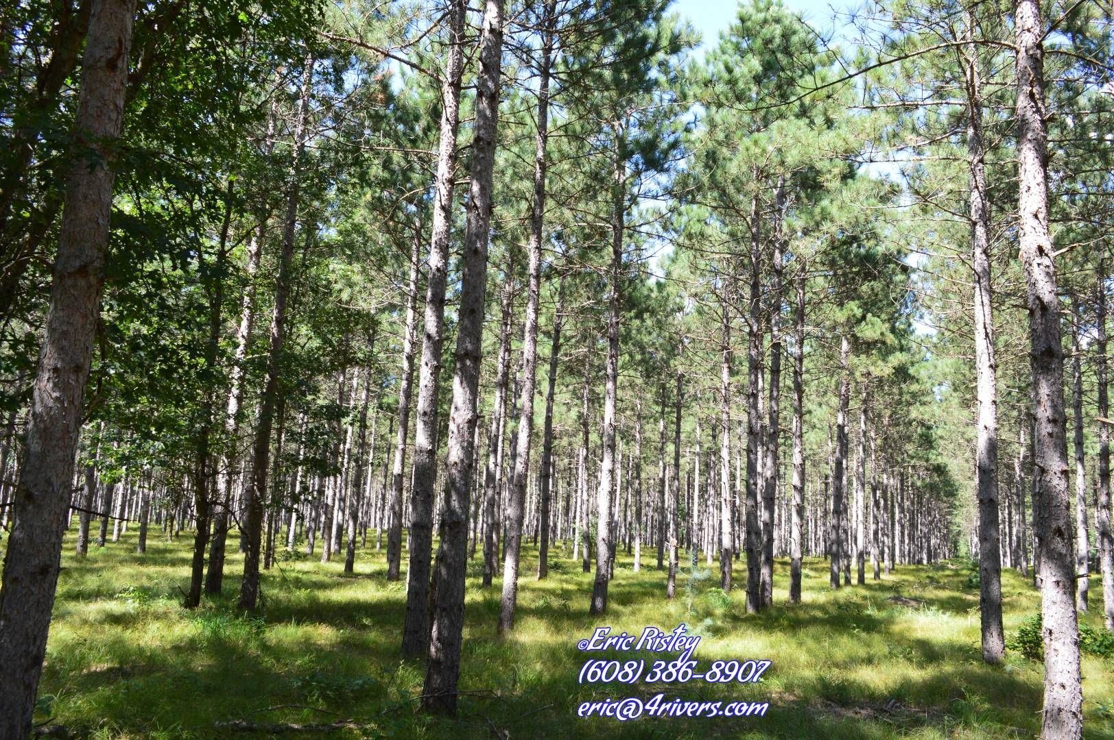 5 Acres, 001 Adams Avenue, Rome, WI 54475 Land and Farm