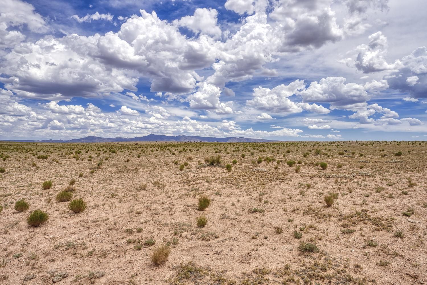 3.25 acres in Socorro, NM, 87801 Land and Farm