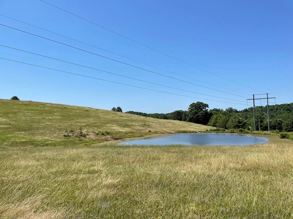 40 Acres, Guion Road, Melbourne, AR 72540 Land and Farm